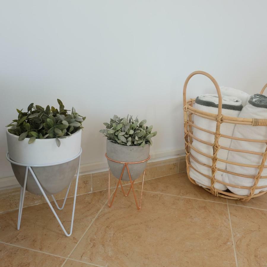 Ebli House Villa San Miguel De Salinas Eksteriør billede